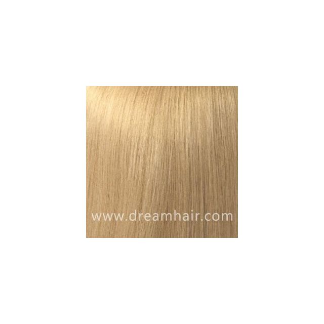 Hair Color Sample 24#