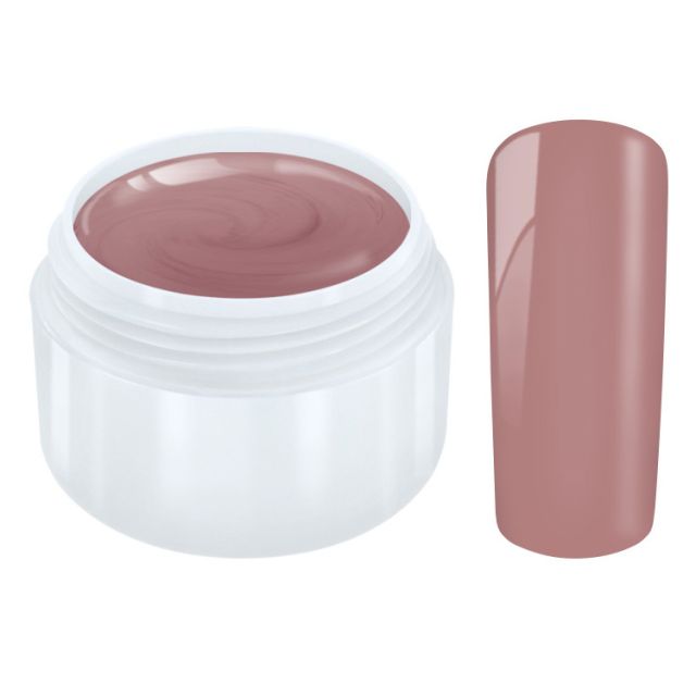 Färg Gel Ash Rose