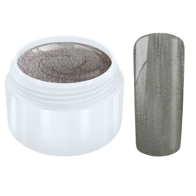 Färg Gel Silver