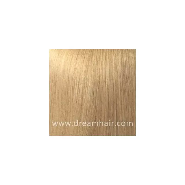 Hair Color Sample 24#