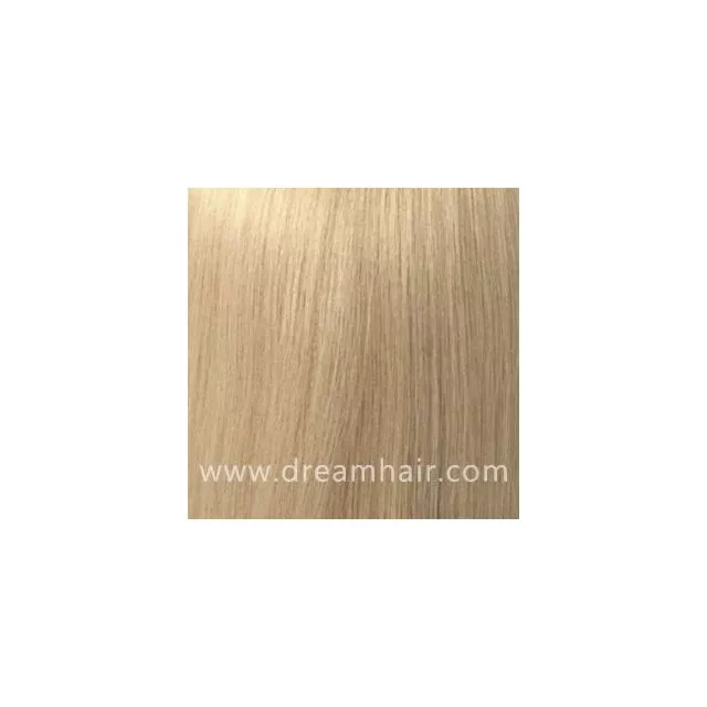 Hair Color Sample 613#