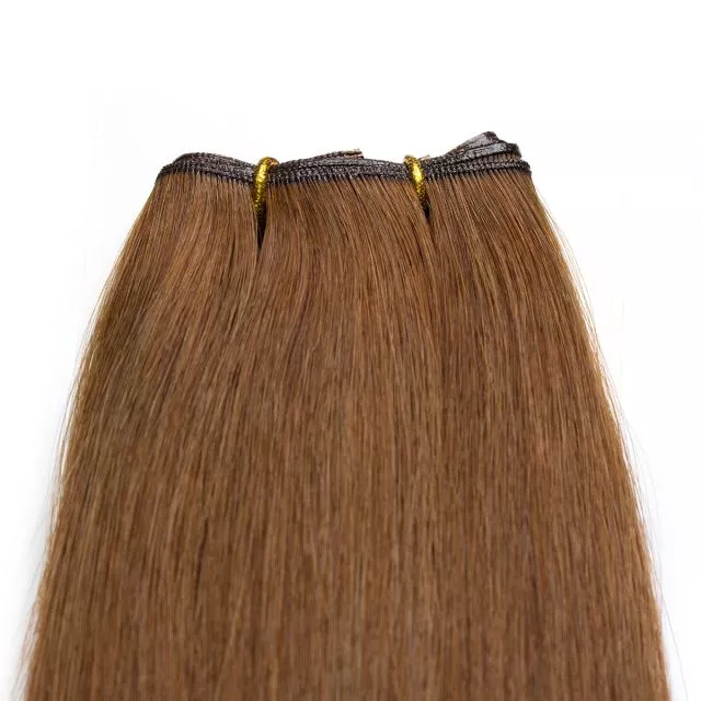 Genius Hårträns 40cm/160cm/100g 4#