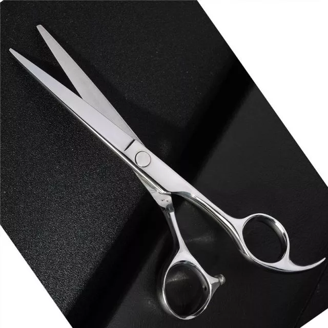 Professionella frisörsaxar 6.0” – 4CR rostfritt stål, 59HRC hårdhet, Silver
