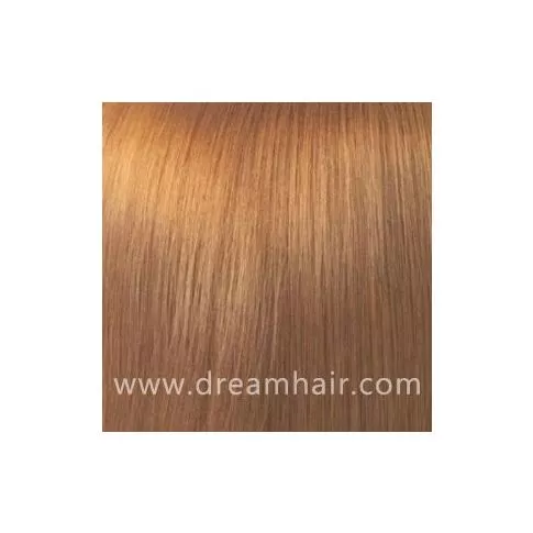Hair Color Sample 16#